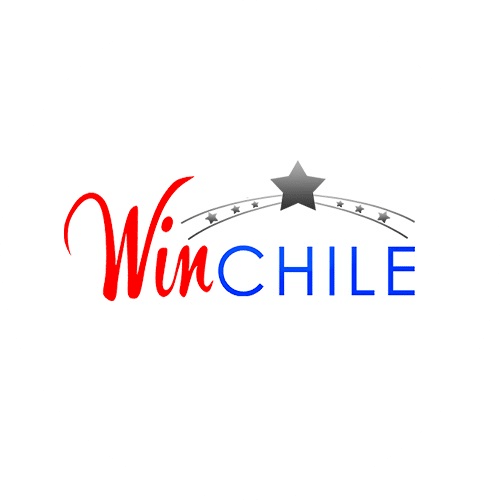 winchile opiniones