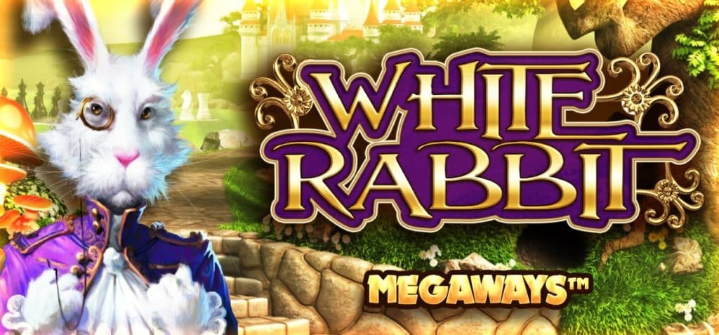 white rabbit